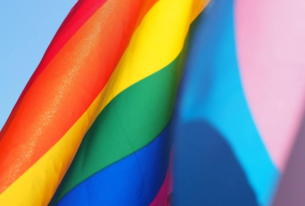 Pride Month: Resources for Understanding your Queer Students